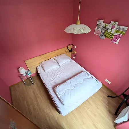 T2 En Centre Apartment Mont-Dore